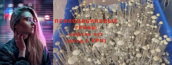 мяу мяу мука Алексеевка